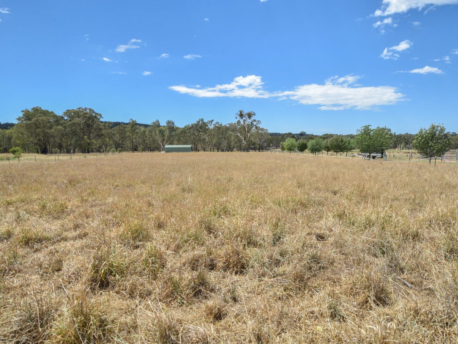 Business For Sale: Young, NSW 2594