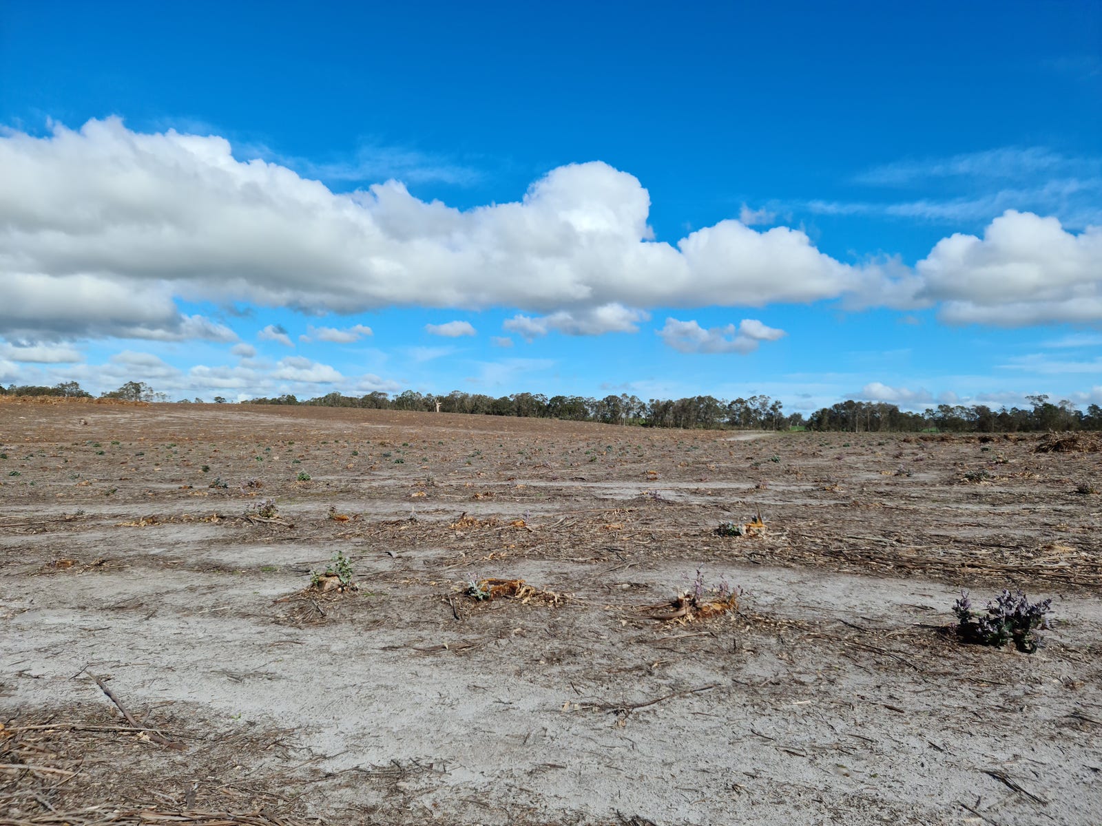 Business For Sale: Napier, WA 6330