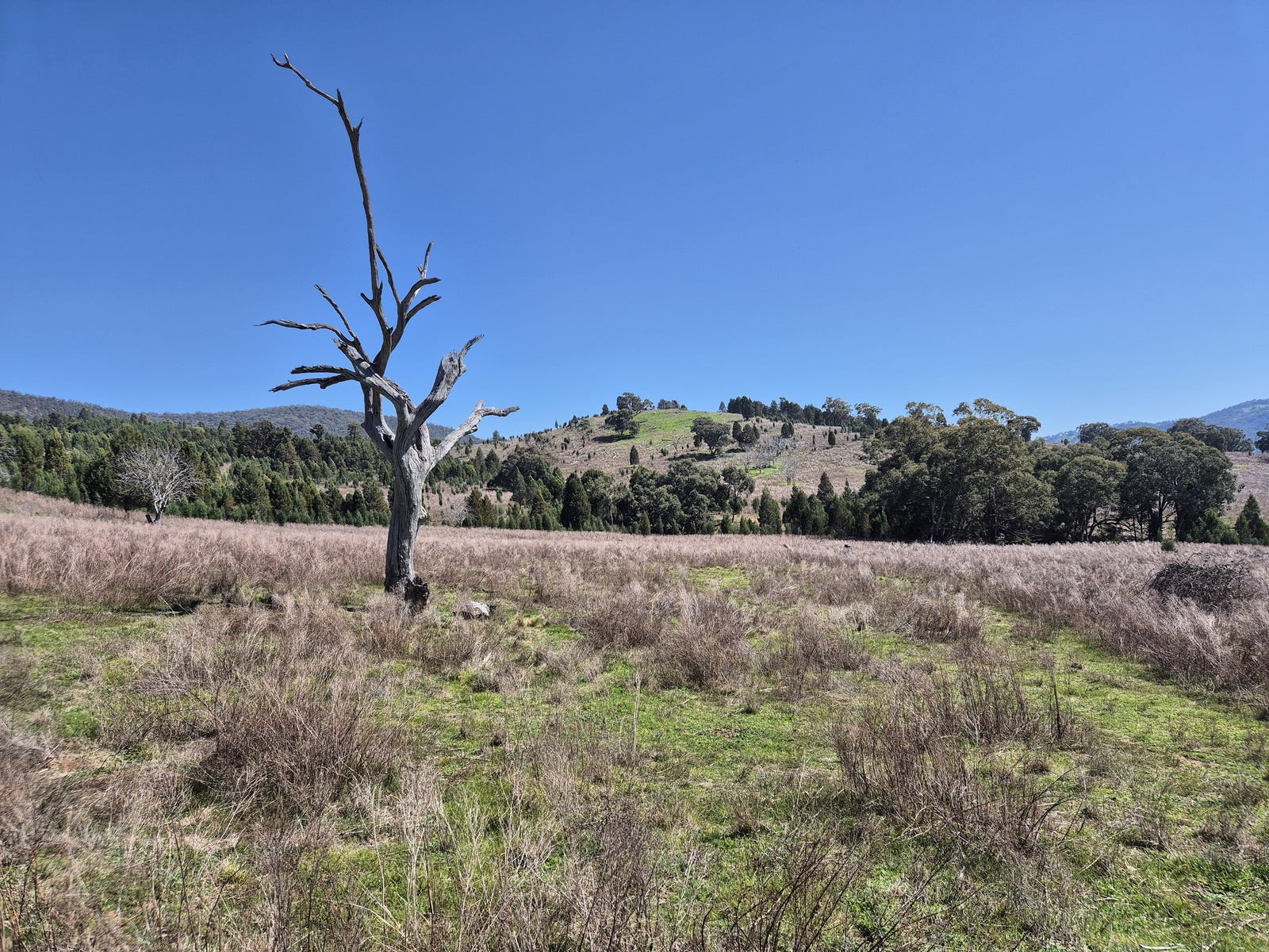 Business For Sale: Yarrabin, NSW 2850