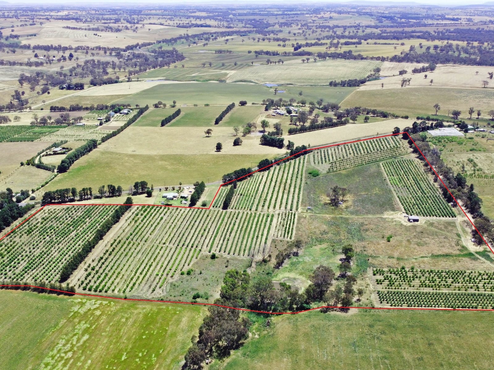 Farms For Sale in Young, NSW 2594