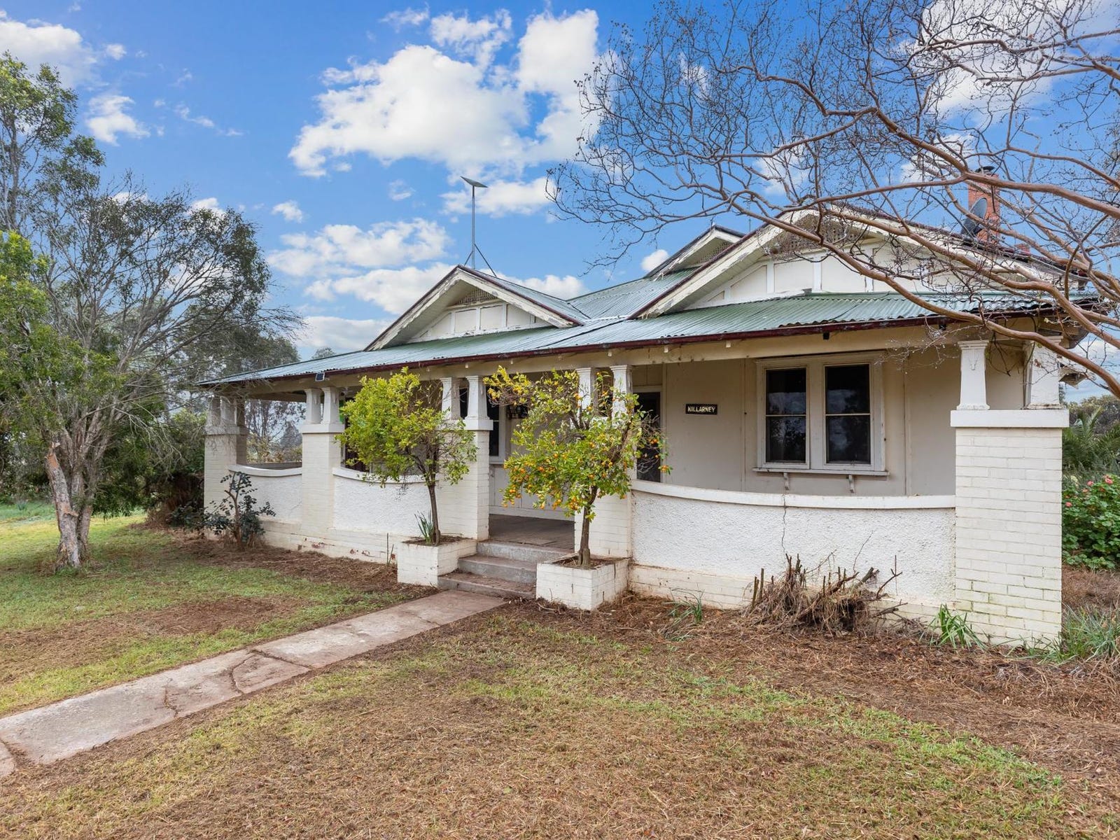 Business For Sale: The Rock, NSW 2655