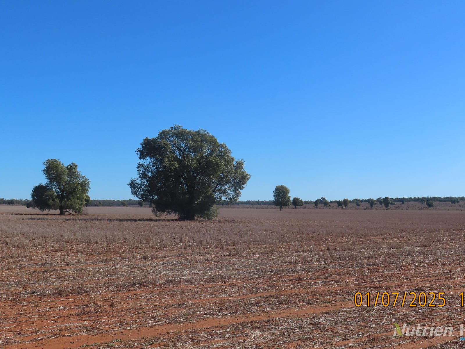 Business For Sale: Hermidale, NSW 2831