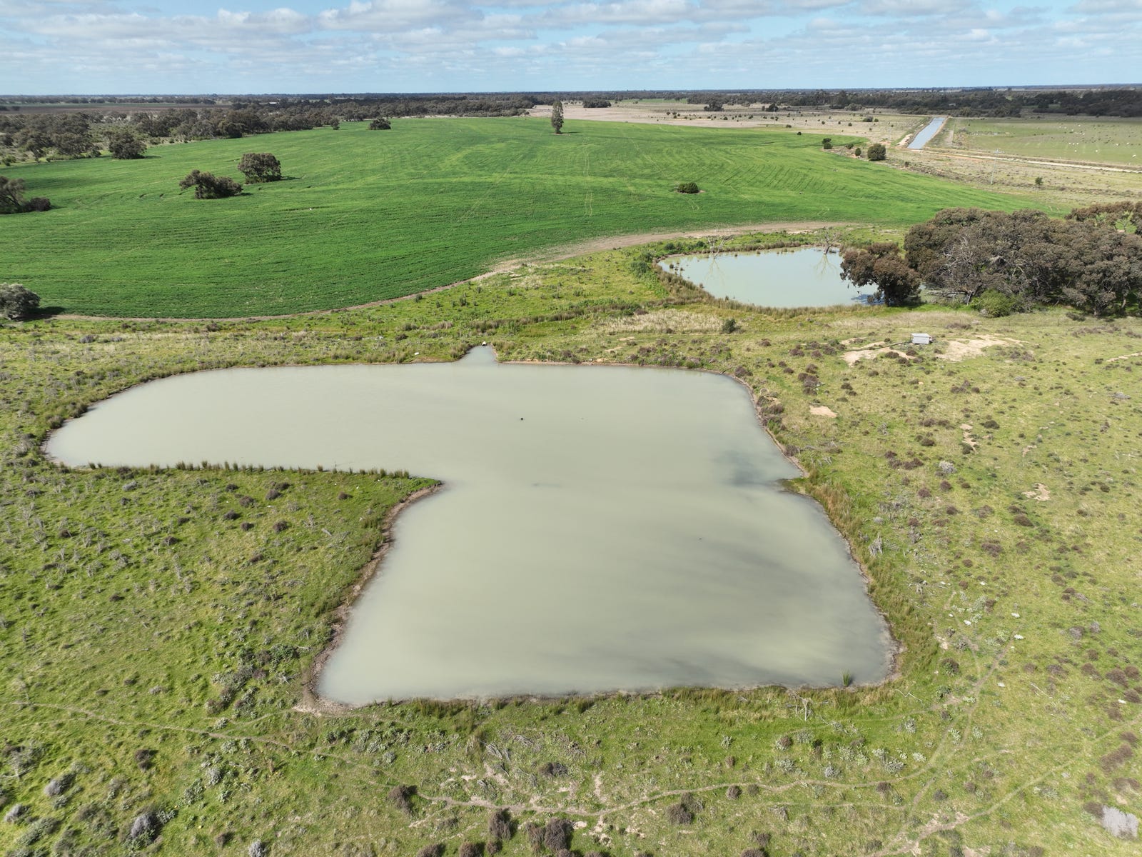 Business For Sale: Deniliquin, NSW 2710
