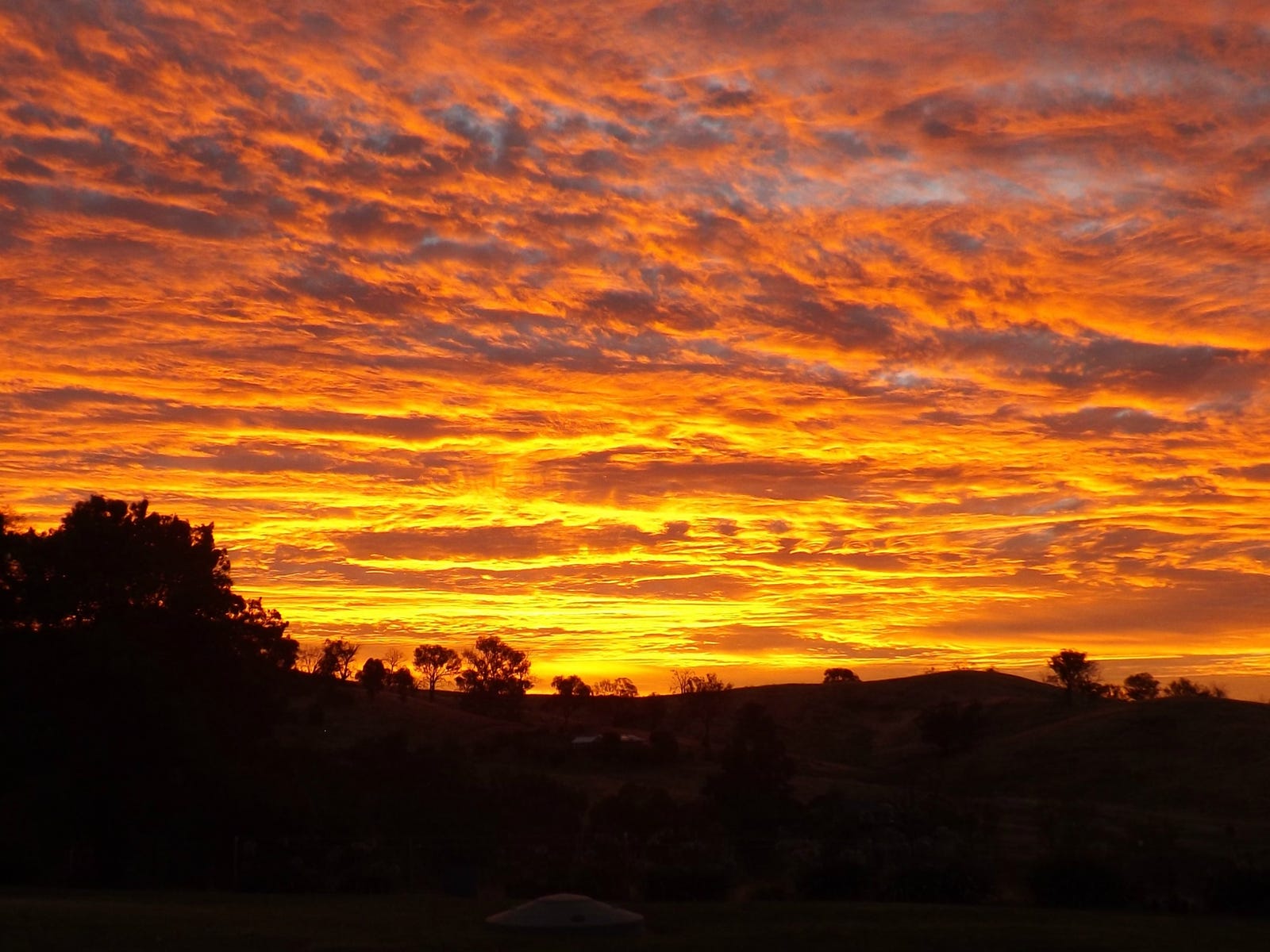 Business For Sale: Gundagai, NSW 2722