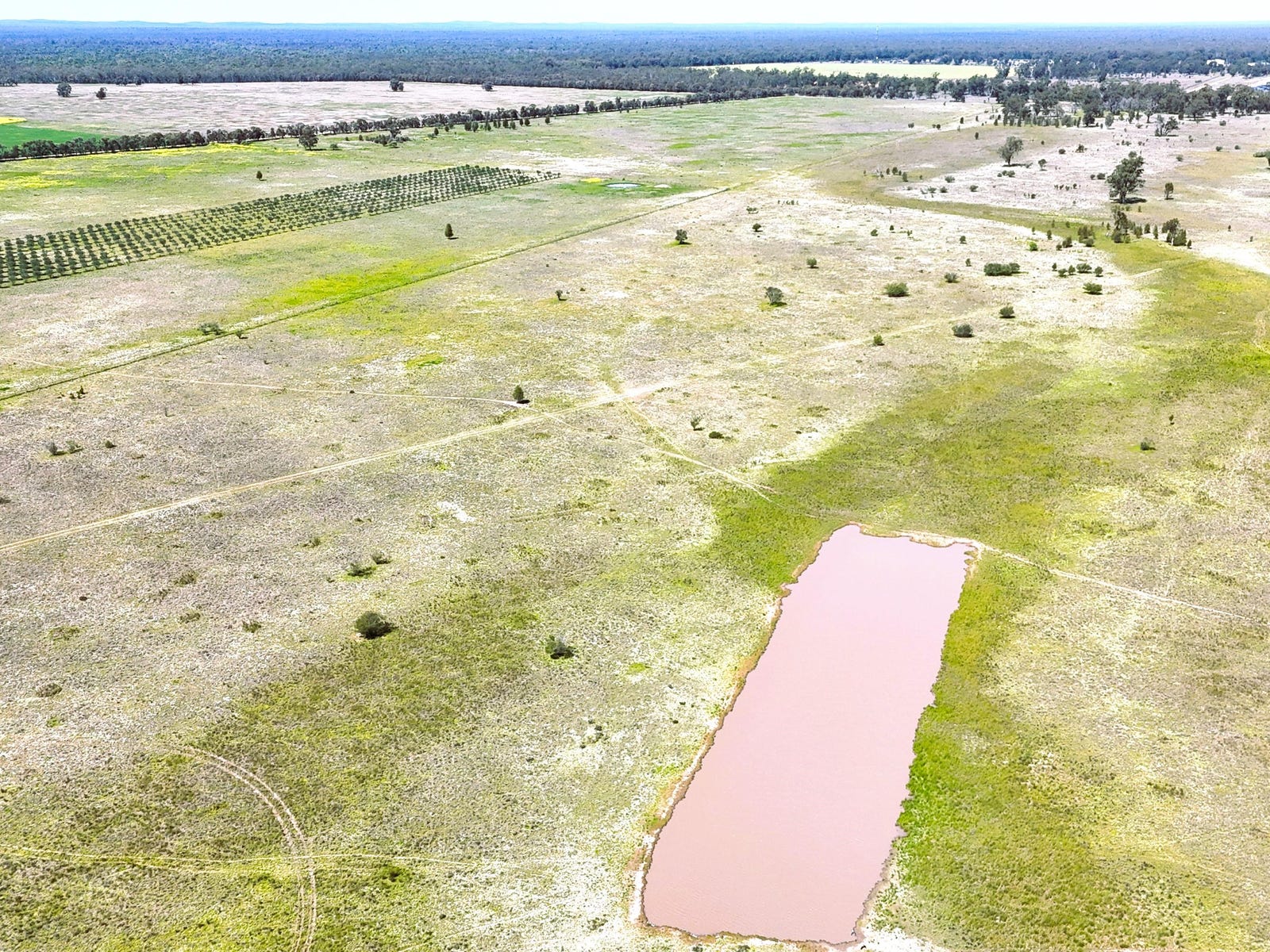 Business For Sale: Bohena Creek, NSW 2390