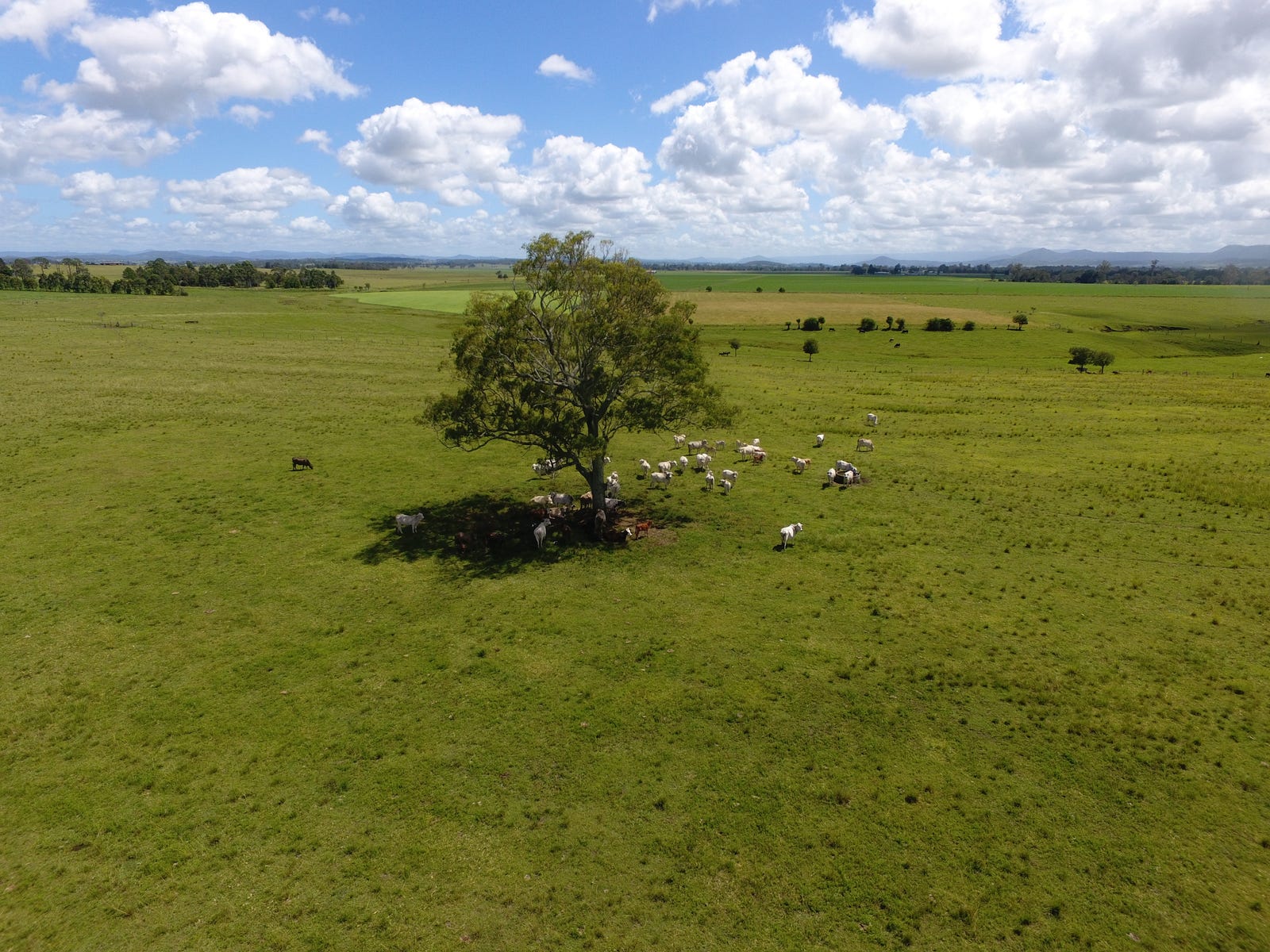 Business For Sale: Stratheden, NSW 2470