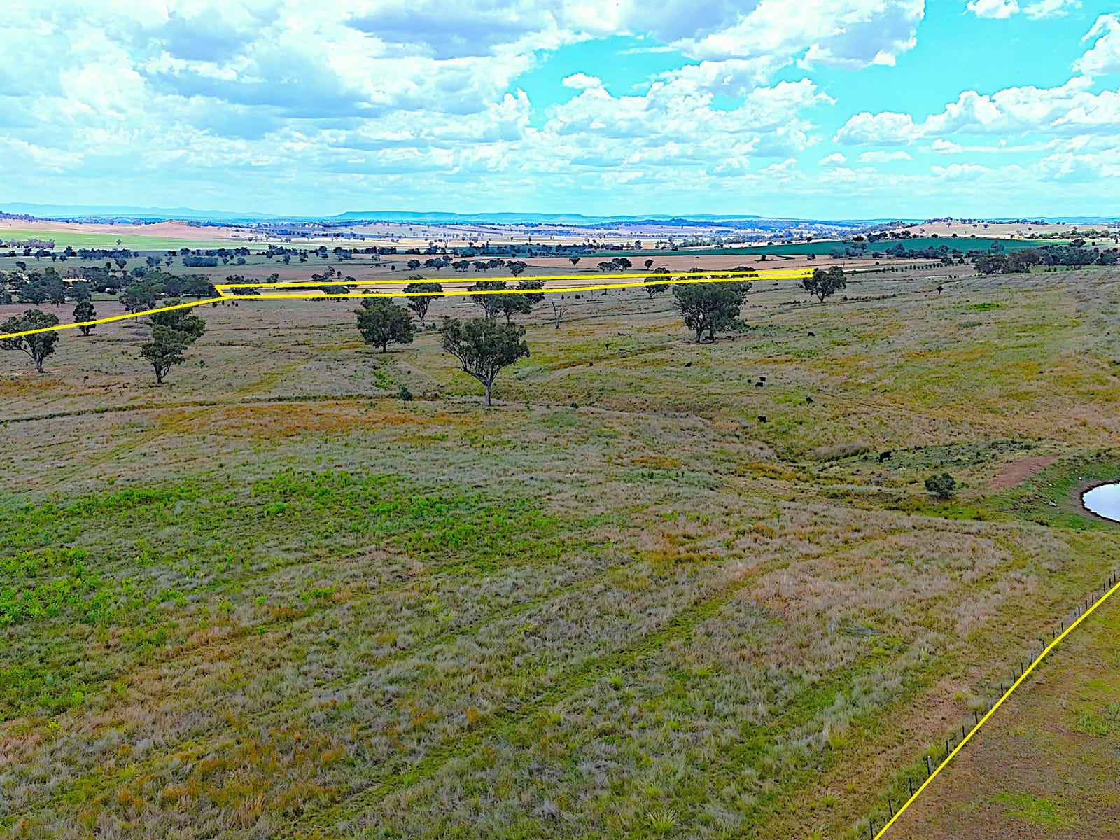 Business For Sale: Quirindi, NSW 2343