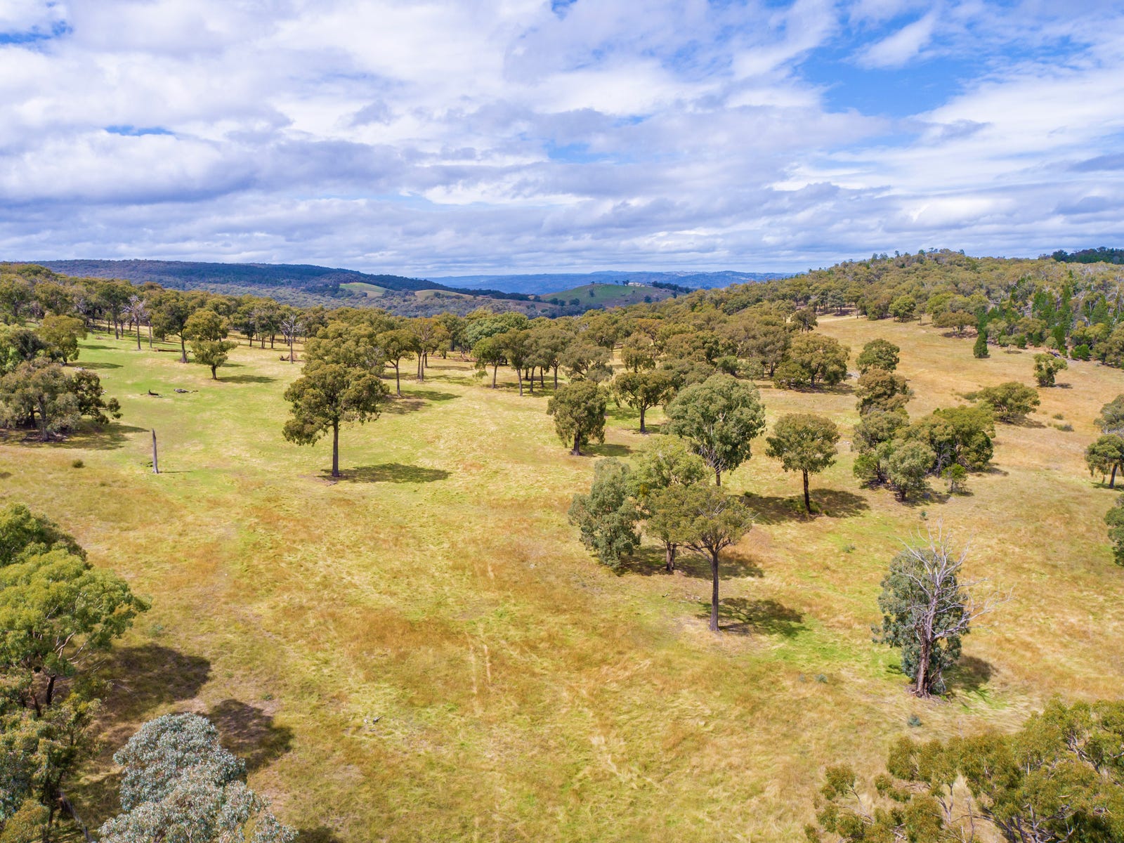 Business For Sale: Woodstock, NSW 2793