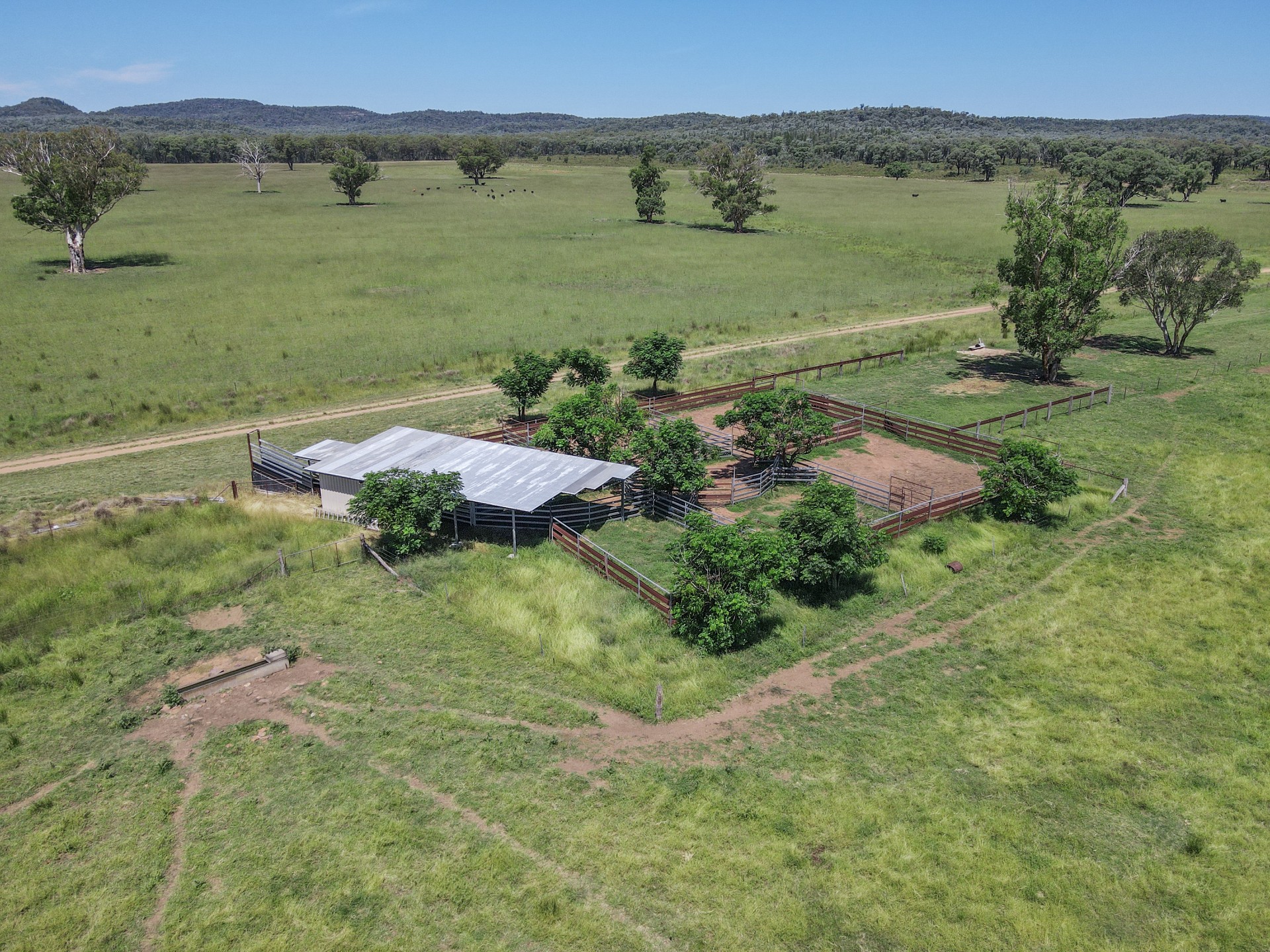 Business For Sale: Neilrex, NSW 2831