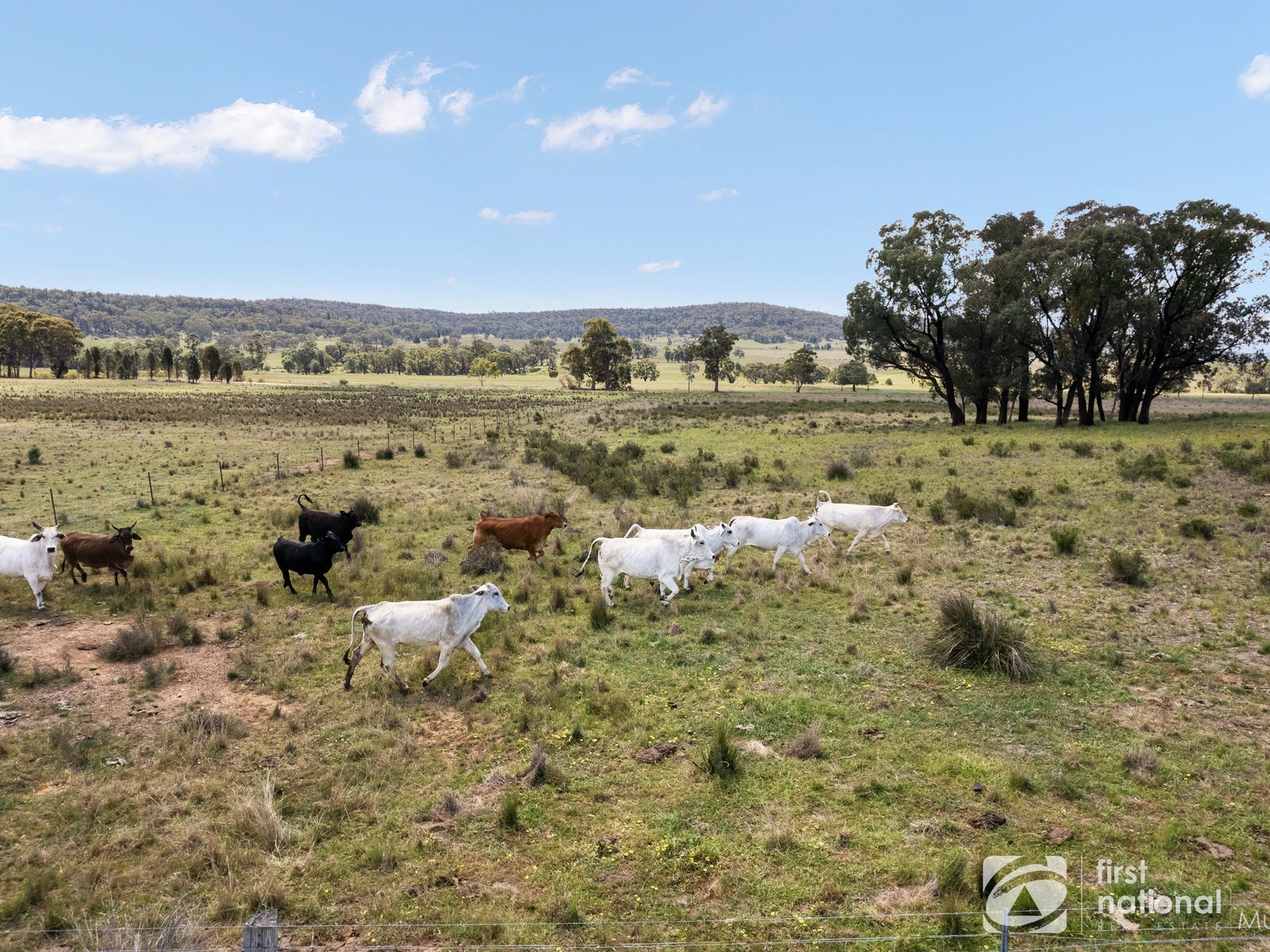 Business For Sale: Dunedoo, NSW 2844