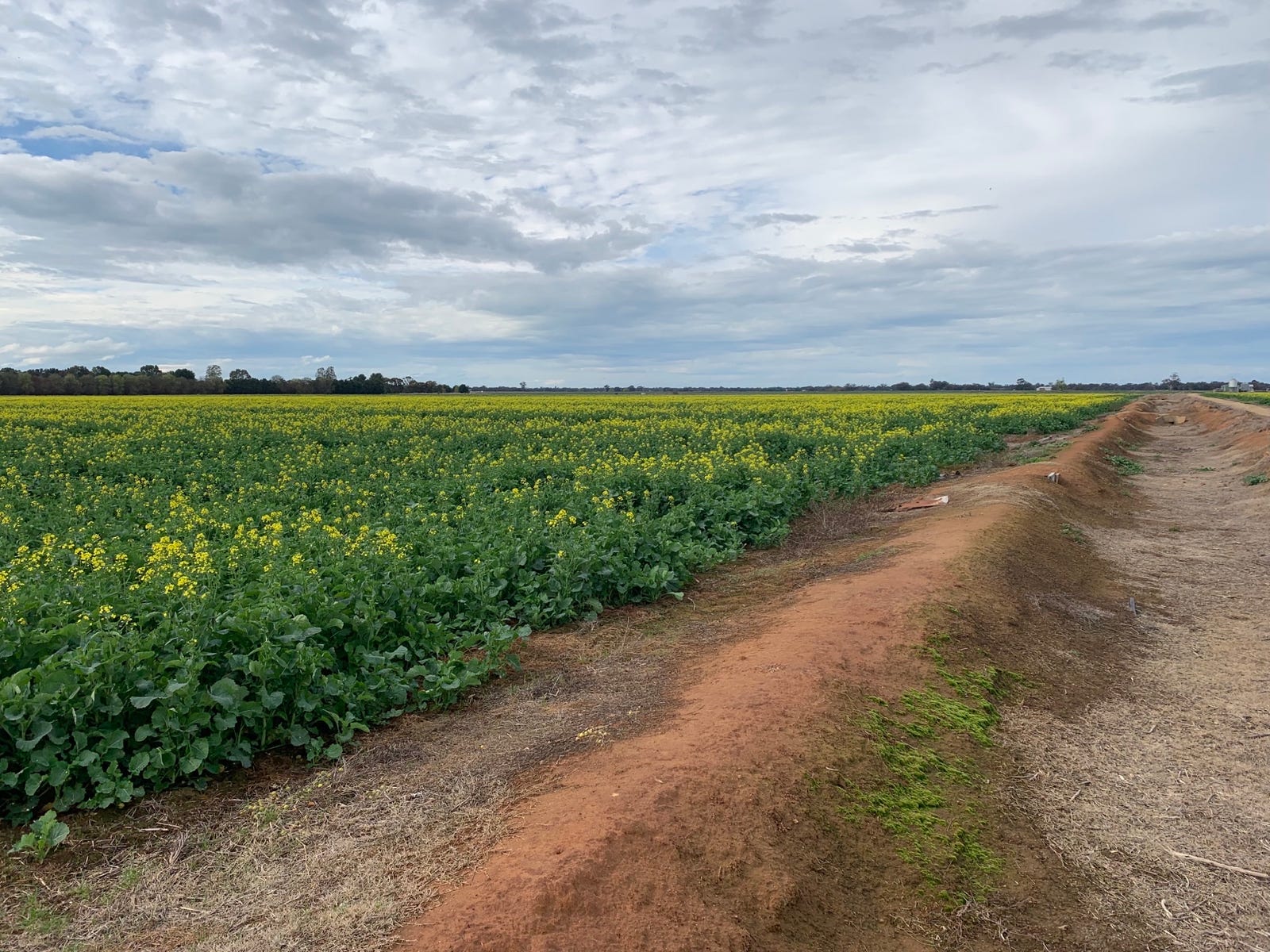 Business For Sale: Rochester, Vic 3561