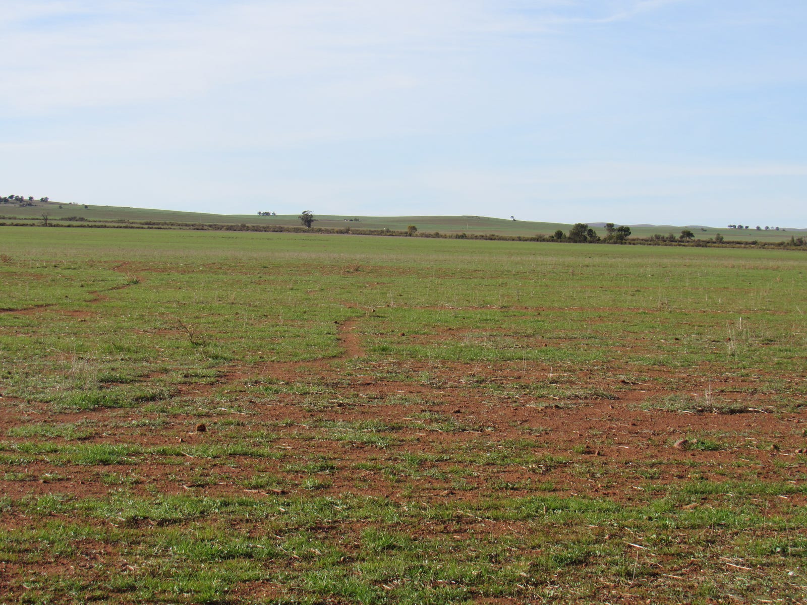 Business For Sale: Coomooroo, SA 5431