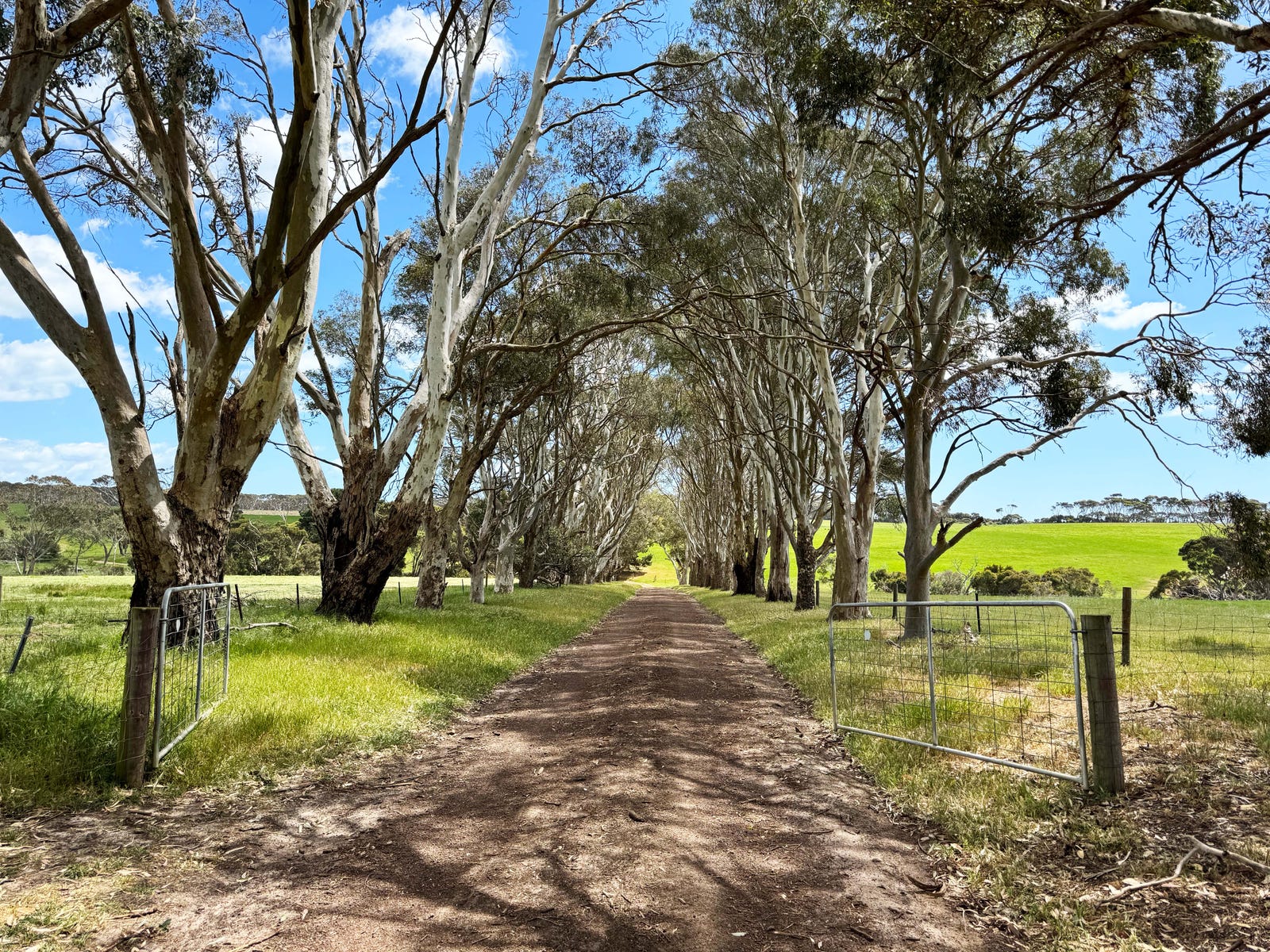 Business For Sale: Dudley East, SA 5222