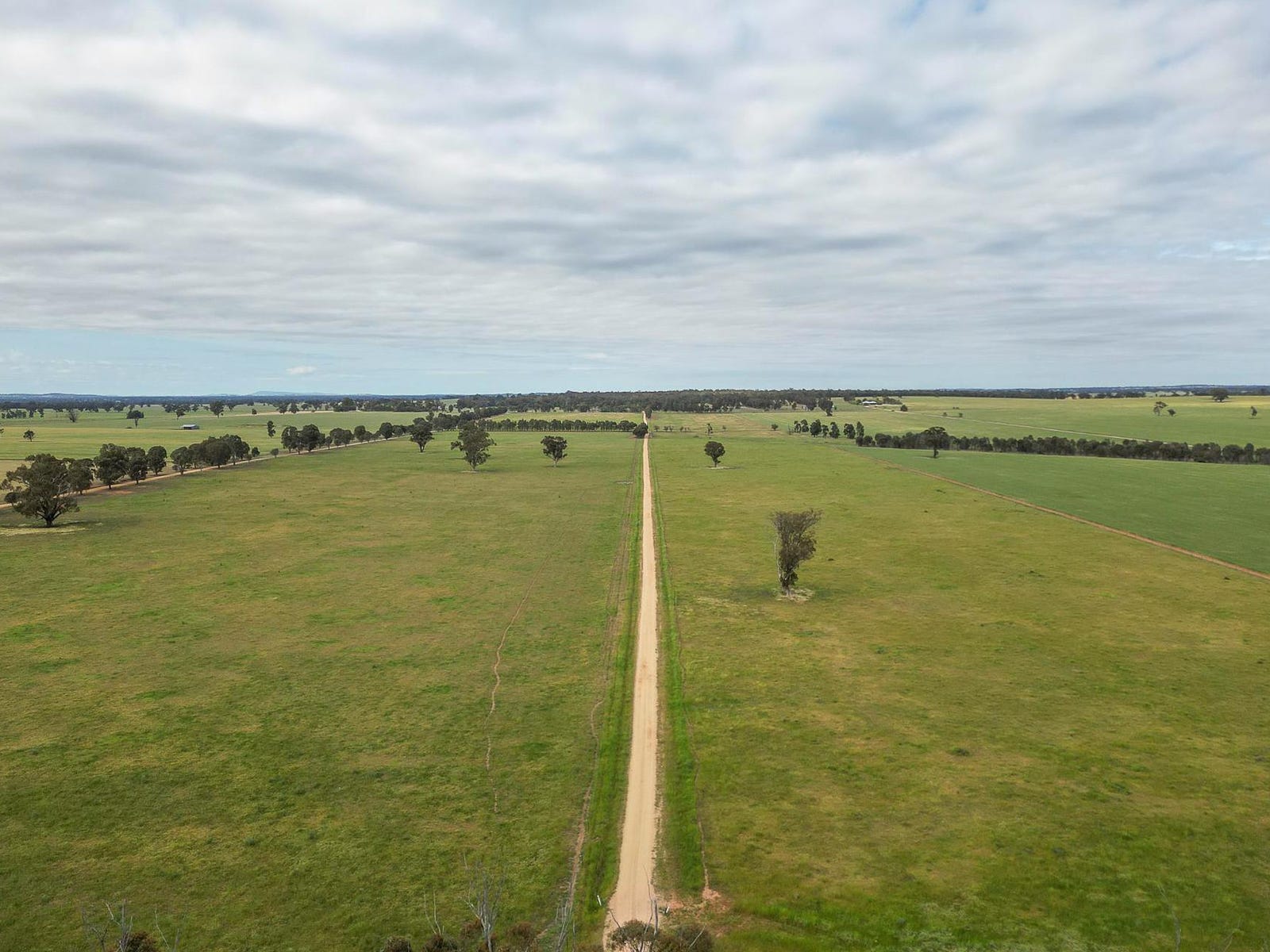Business For Sale: The Rock, NSW 2655