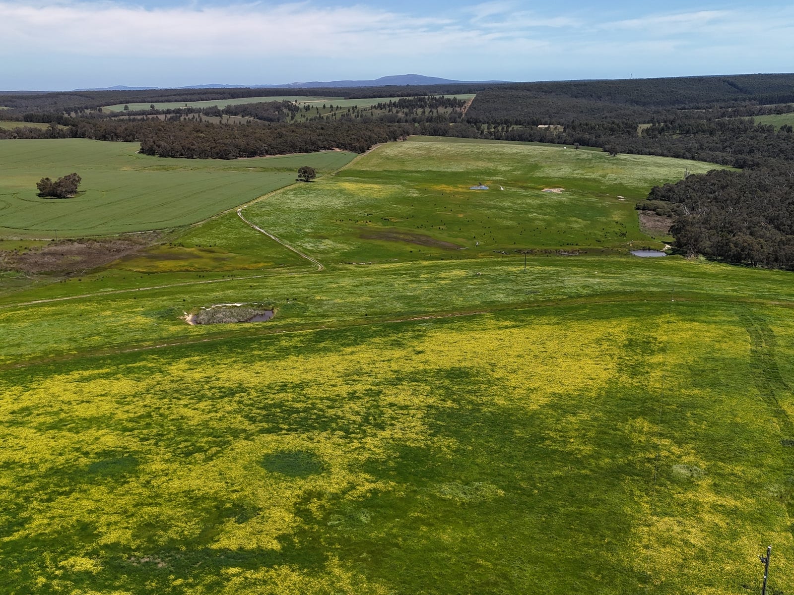 Business For Sale: Denbarker, WA 6324
