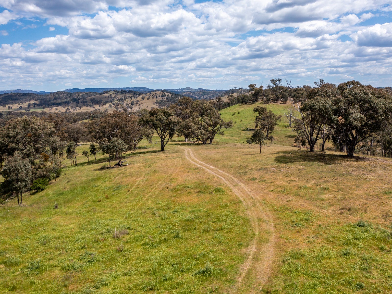Business For Sale: Rylstone, NSW 2849