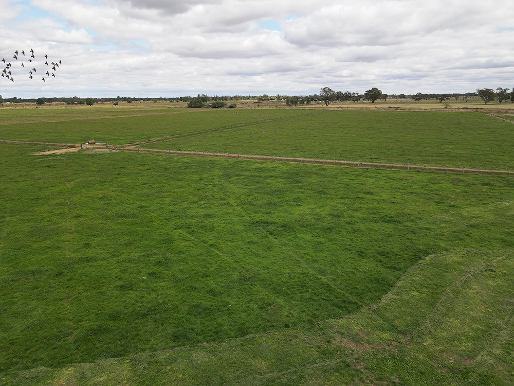 Business For Sale: Stanhope, Vic 3623