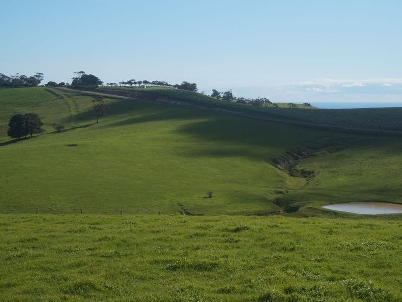 Business For Sale: Carrickalinga, SA 5204