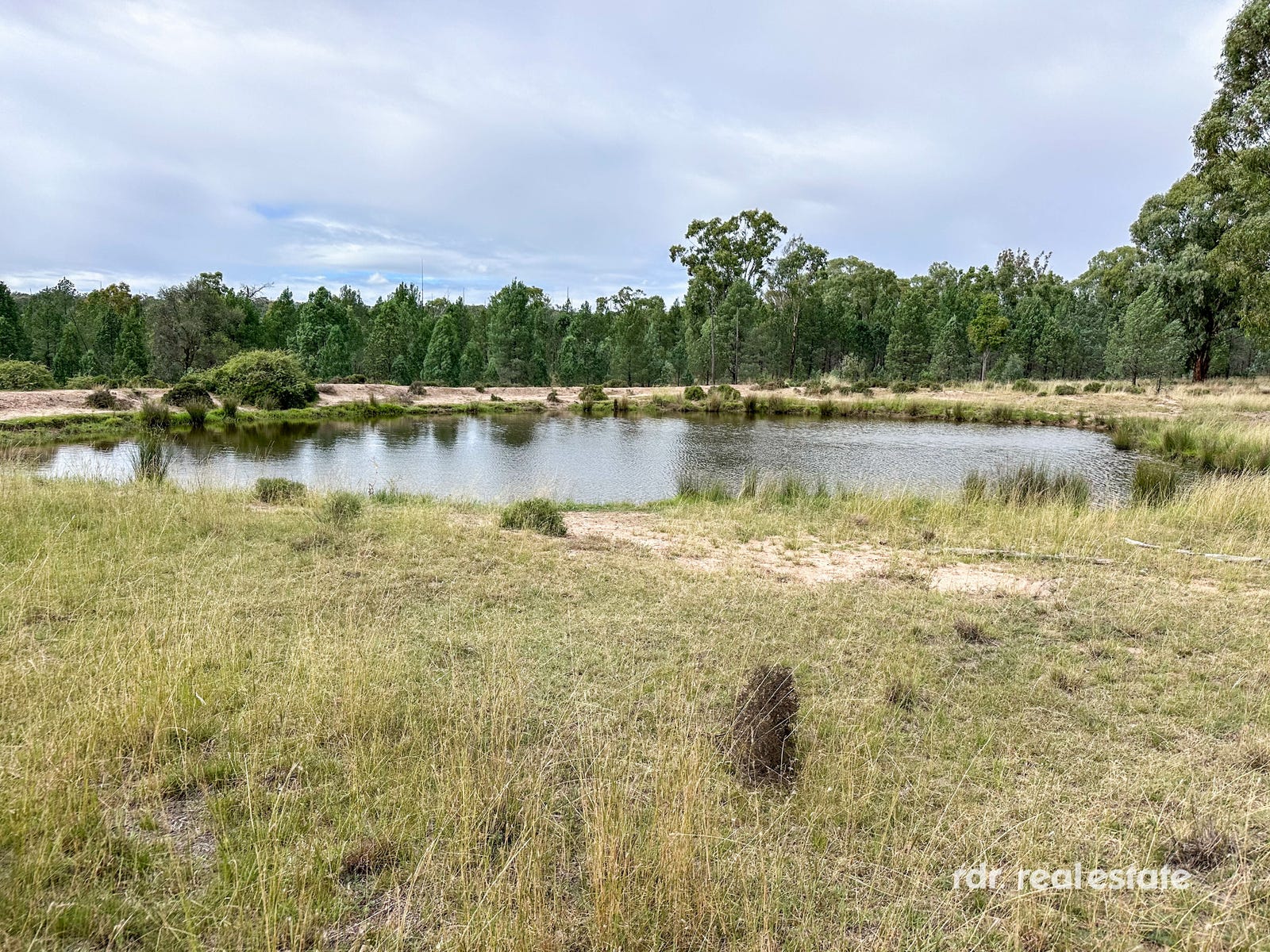 Business For Sale: Wallangra, NSW 2360