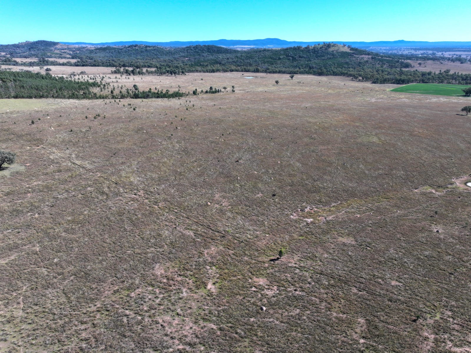 Business For Sale: Bonshaw, NSW 2361