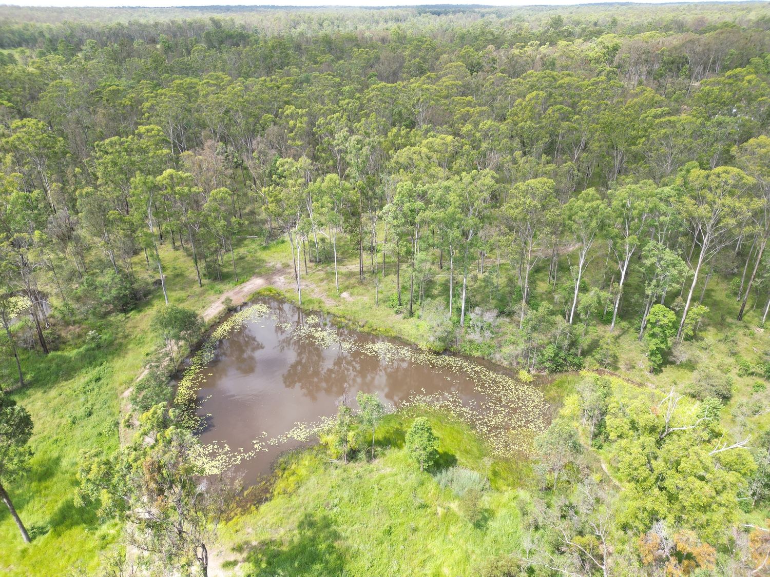Business For Sale: Glenwood, Qld 4570