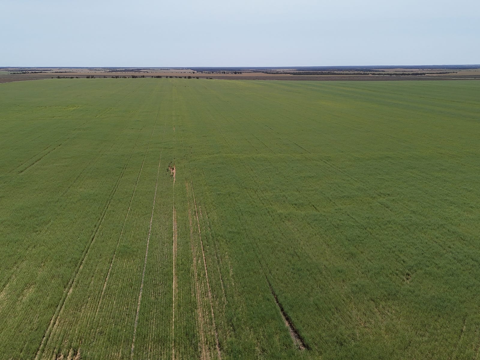 Business For Sale: Ogilvie, WA 6535