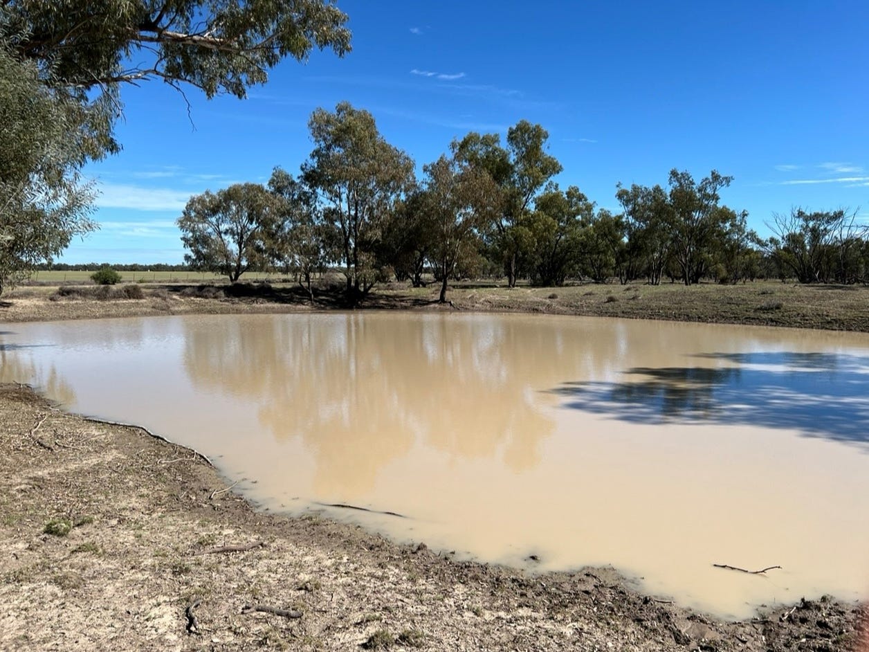 Business For Sale: Walgett, NSW 2832