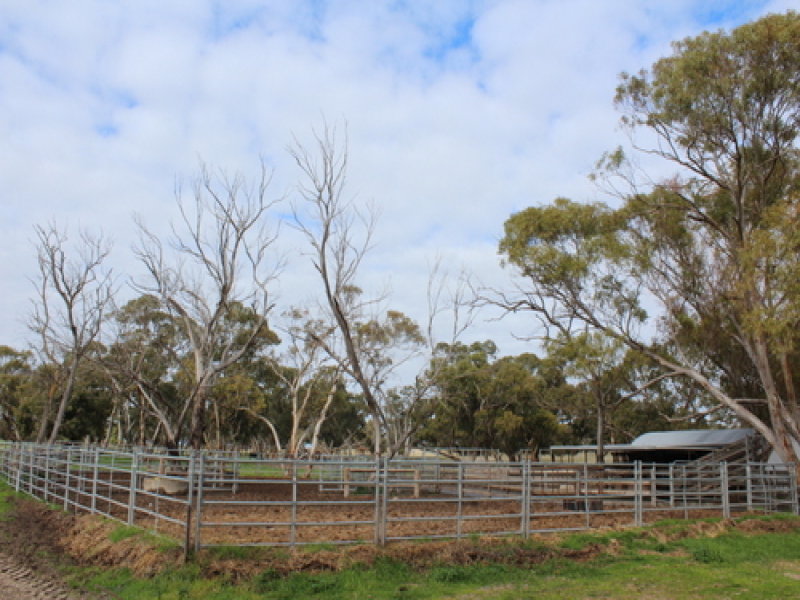 Business For Sale: Keith, SA 5267