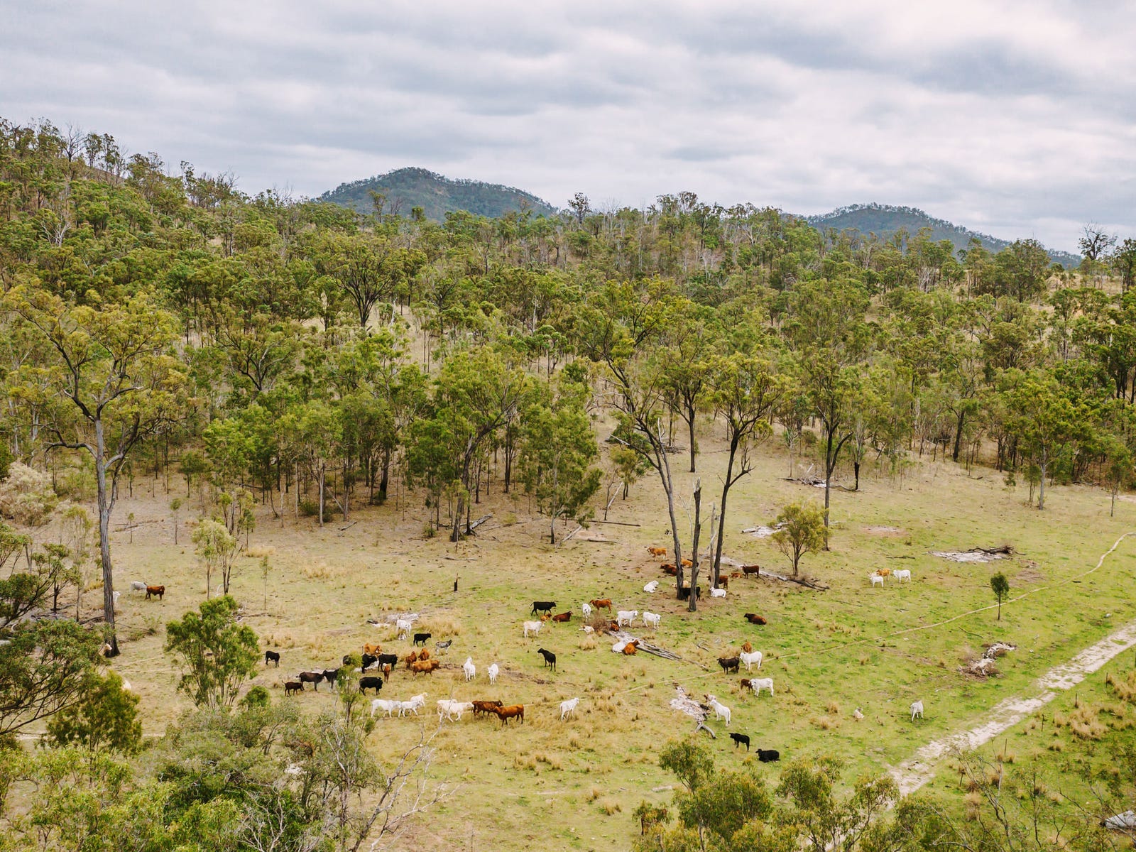 Farm For Sale in Boyne Valley, Qld 4680 1250 Mount Hector Road