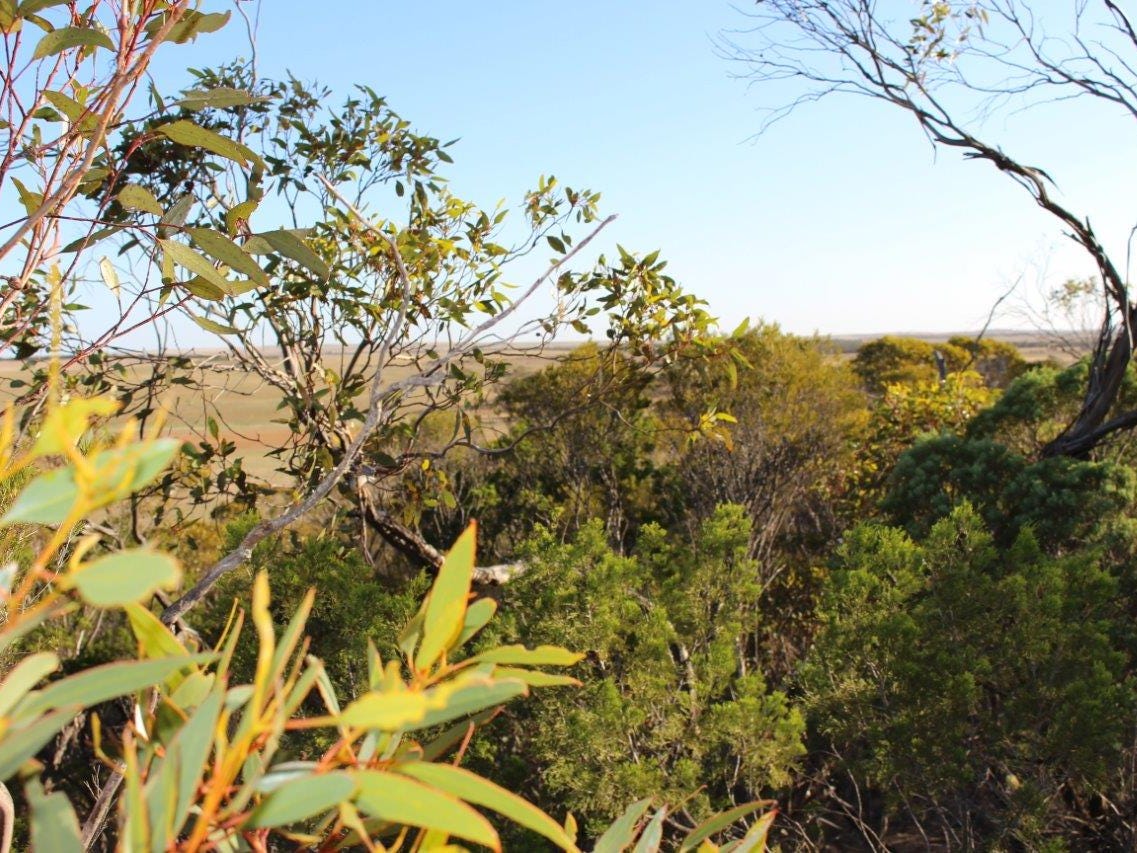 Business For Sale: Lameroo, SA 5302