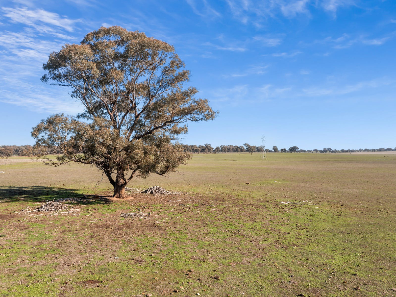 Business For Sale: Woodvale, Vic 3556