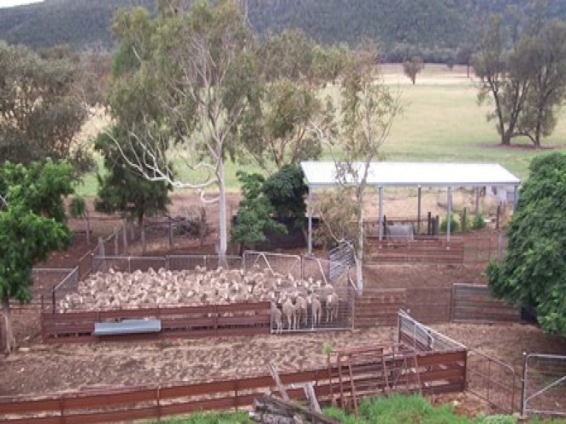Business For Sale: Grenfell, NSW 2810