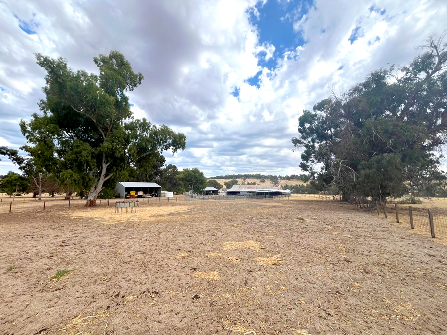 Business For Sale: Wandering, WA 6308