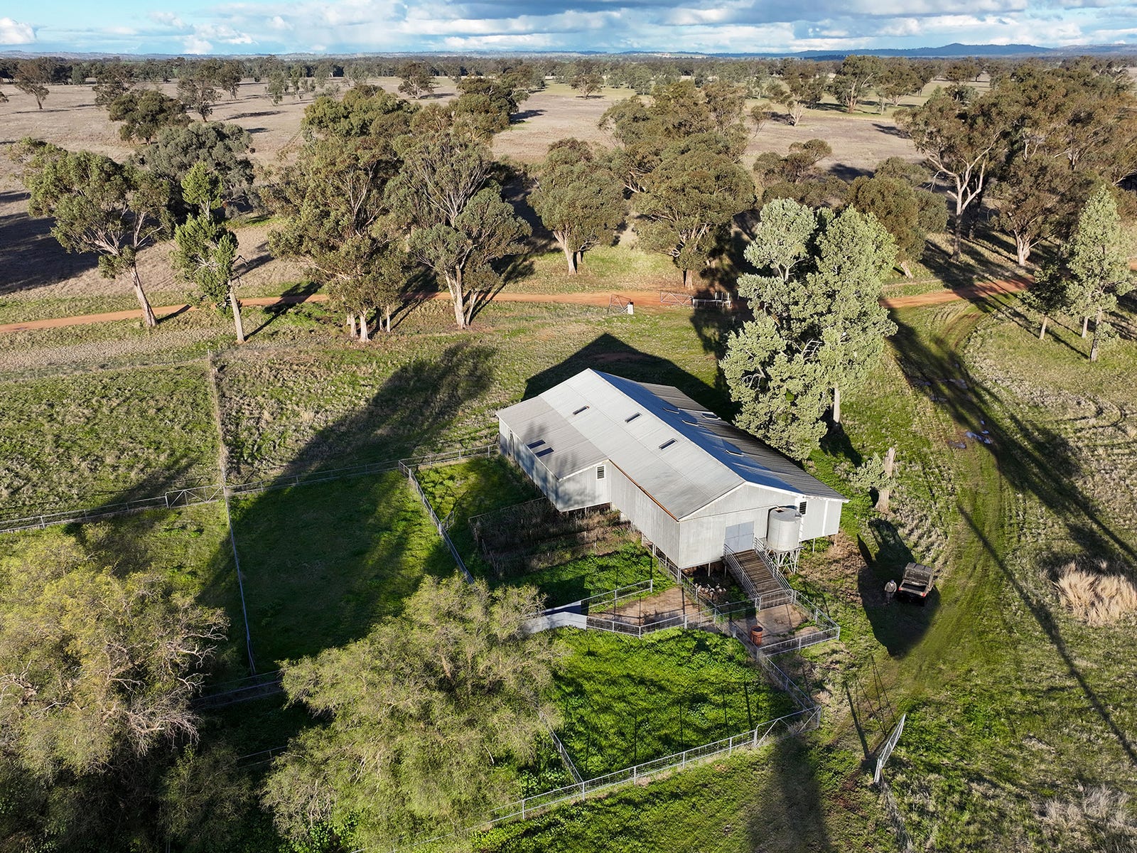 Business For Sale: Young, NSW 2594