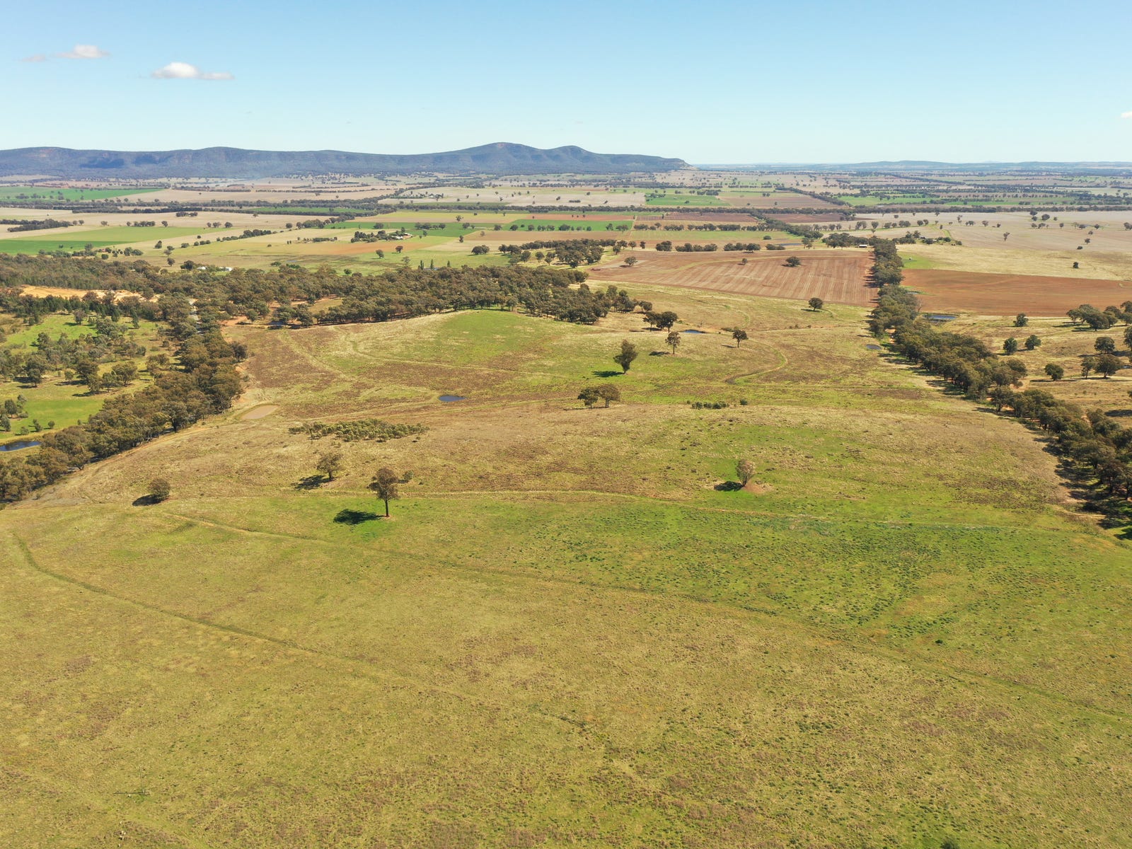Business For Sale: Grenfell, NSW 2810