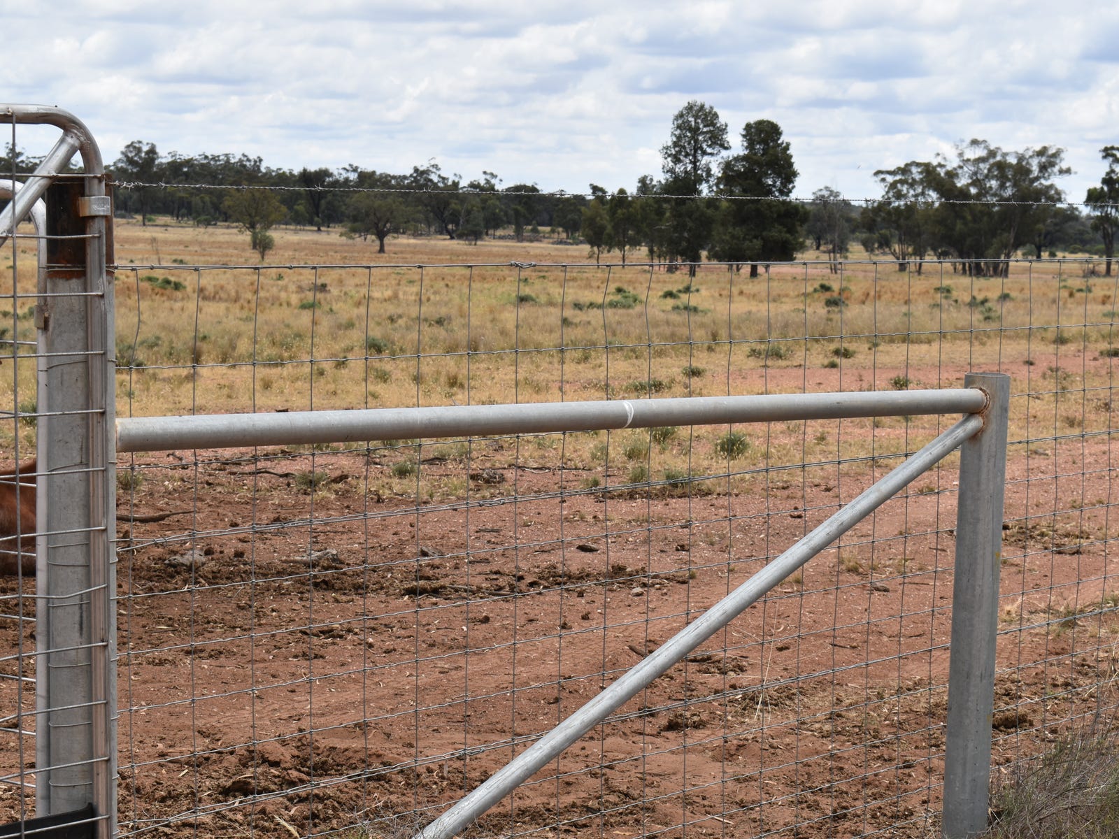 Business For Sale: Fifield, NSW 2875