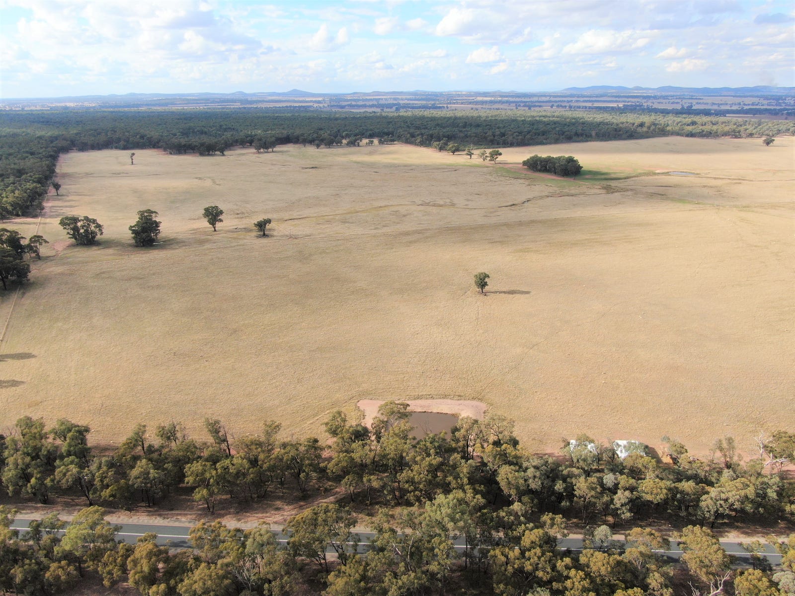 Farm For Sale in Temora, NSW 2666 640 Thanowring Road, (pucawan)