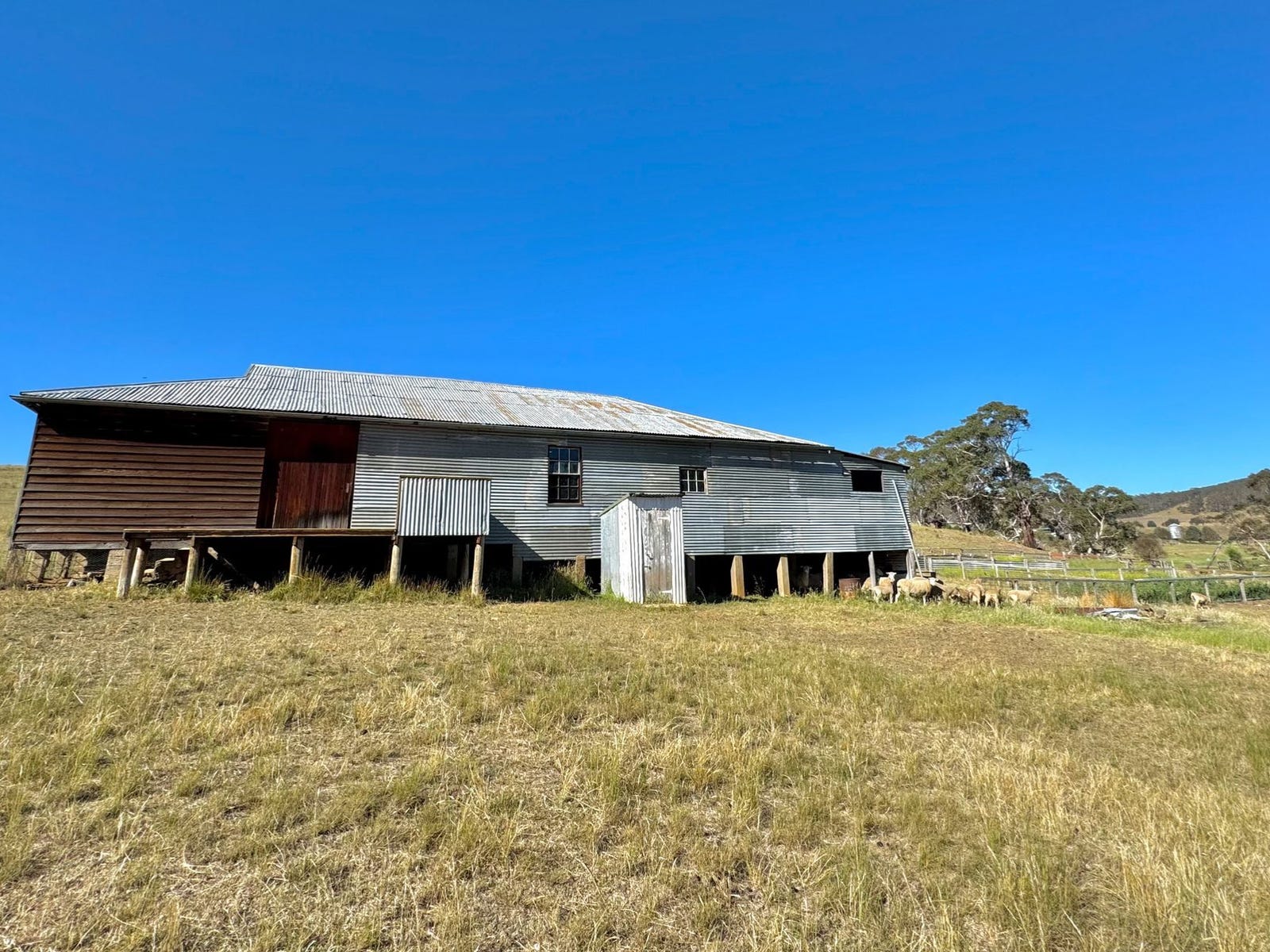 Business For Sale: Delegate, NSW 2633