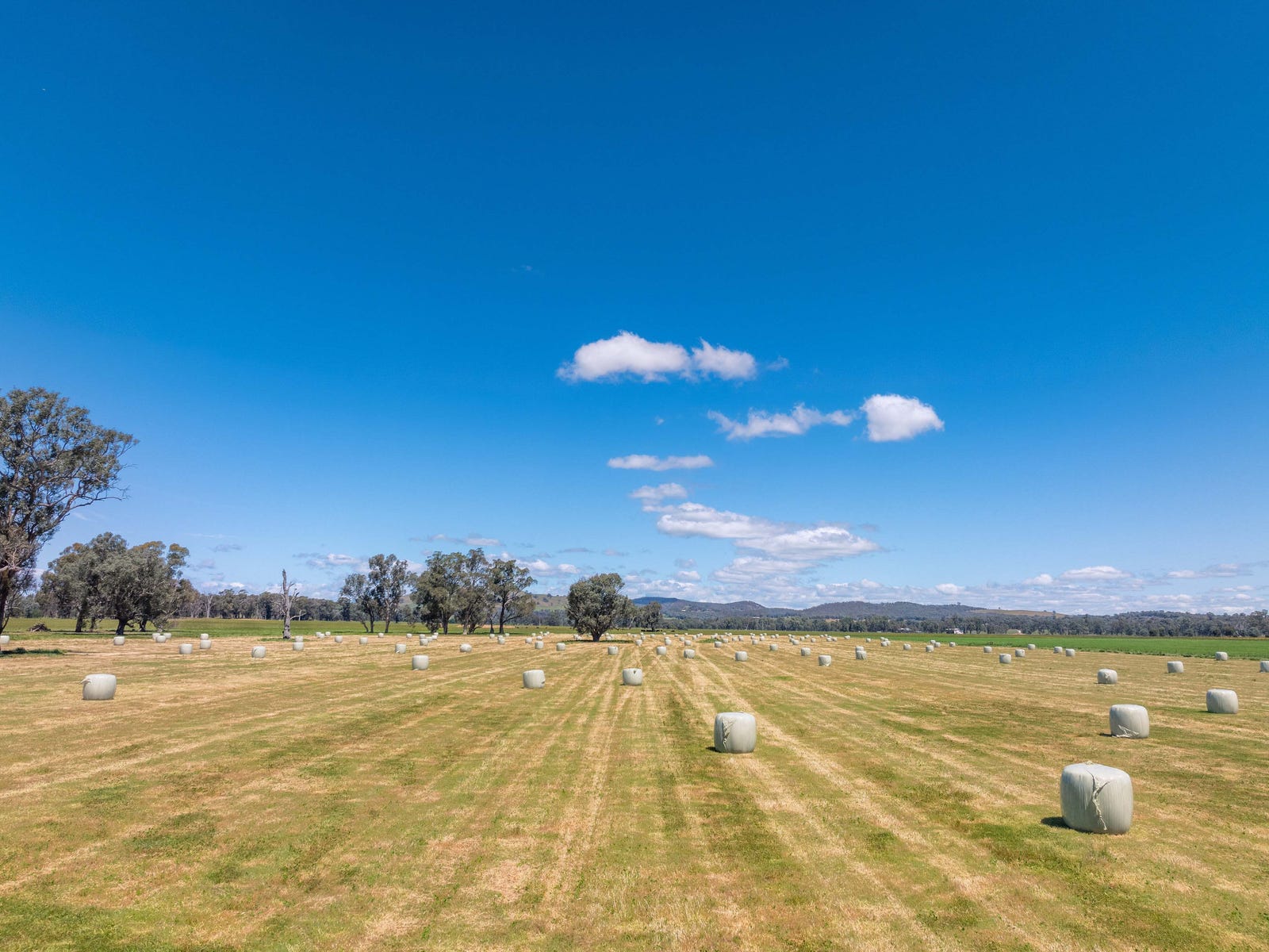Business For Sale: Glenrowan West, Vic 3675
