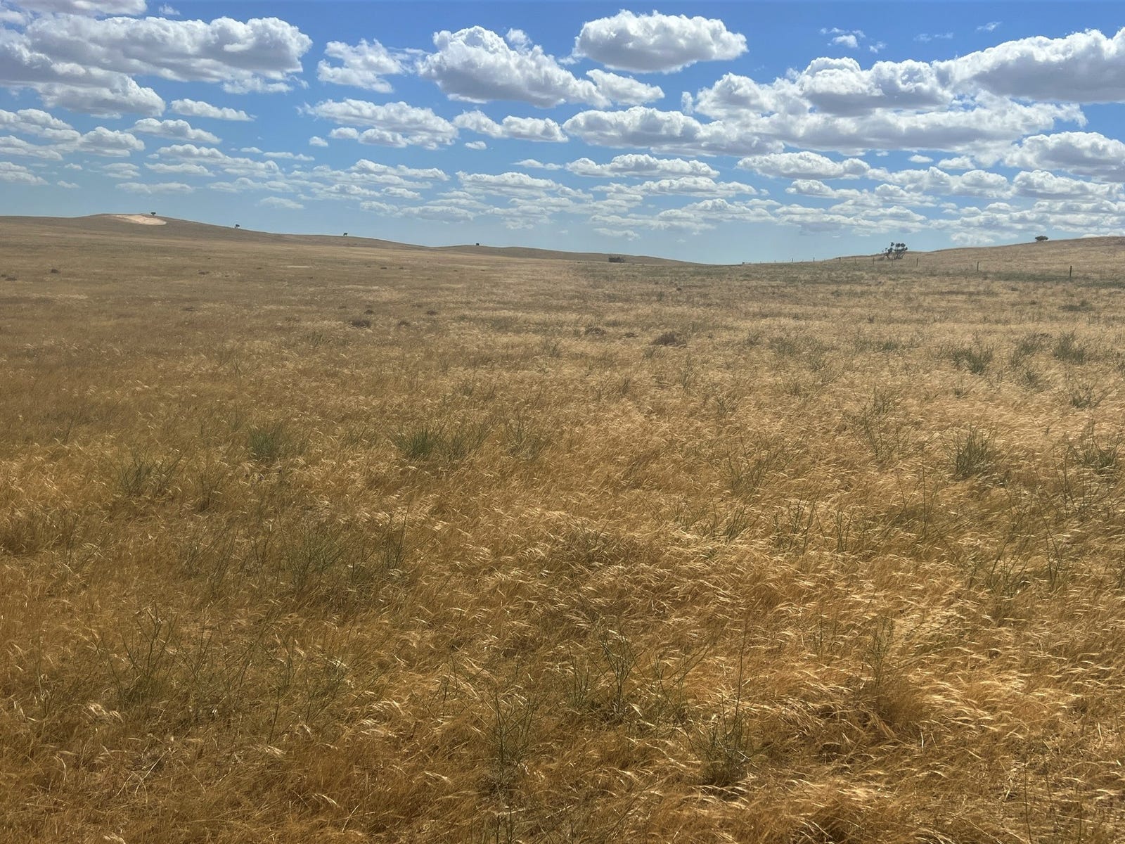 Business For Sale: Parrakie, SA 5301
