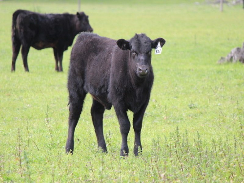 Business For Sale: Keith, SA 5267