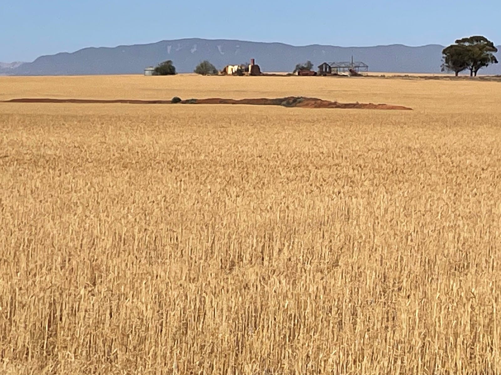 Business For Sale: Willowie, SA 5431