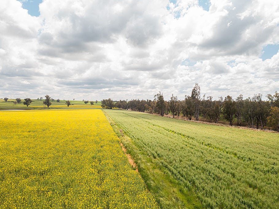 Business For Sale: Benolong, NSW 2818
