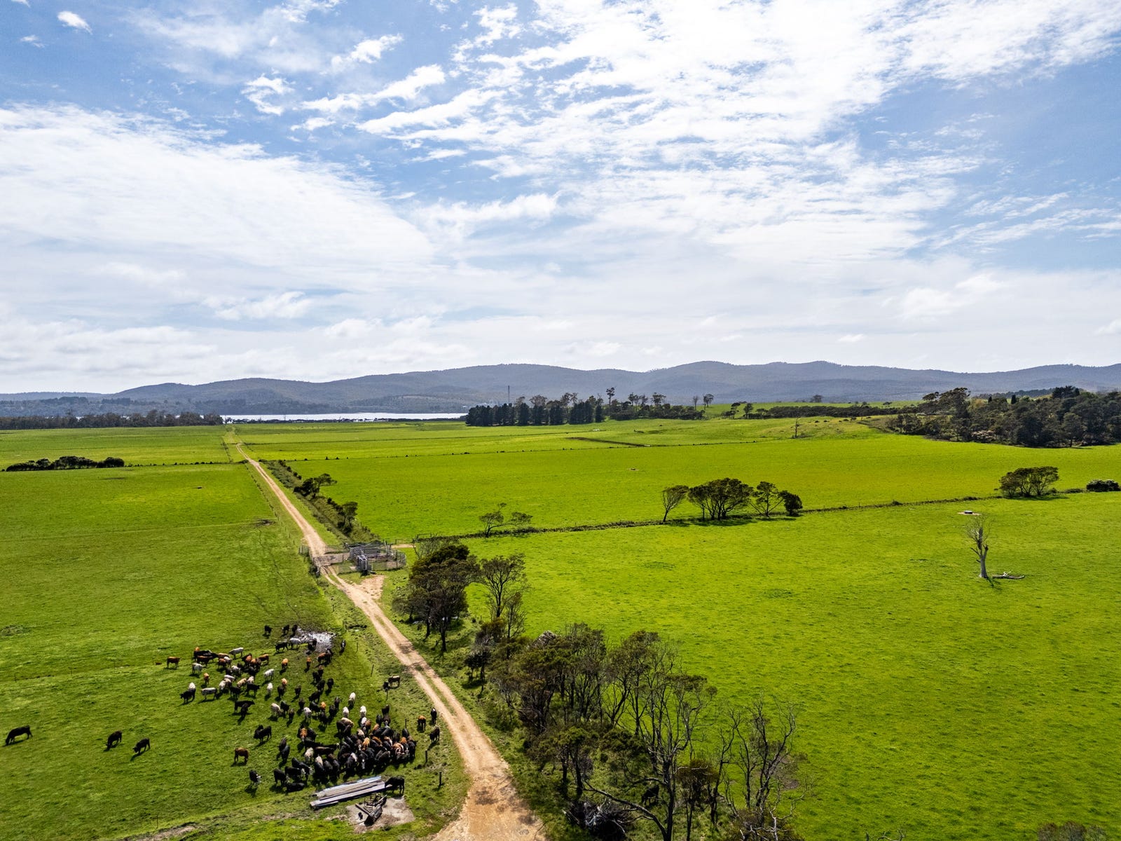 Business For Sale: Rowella, Tas 7270