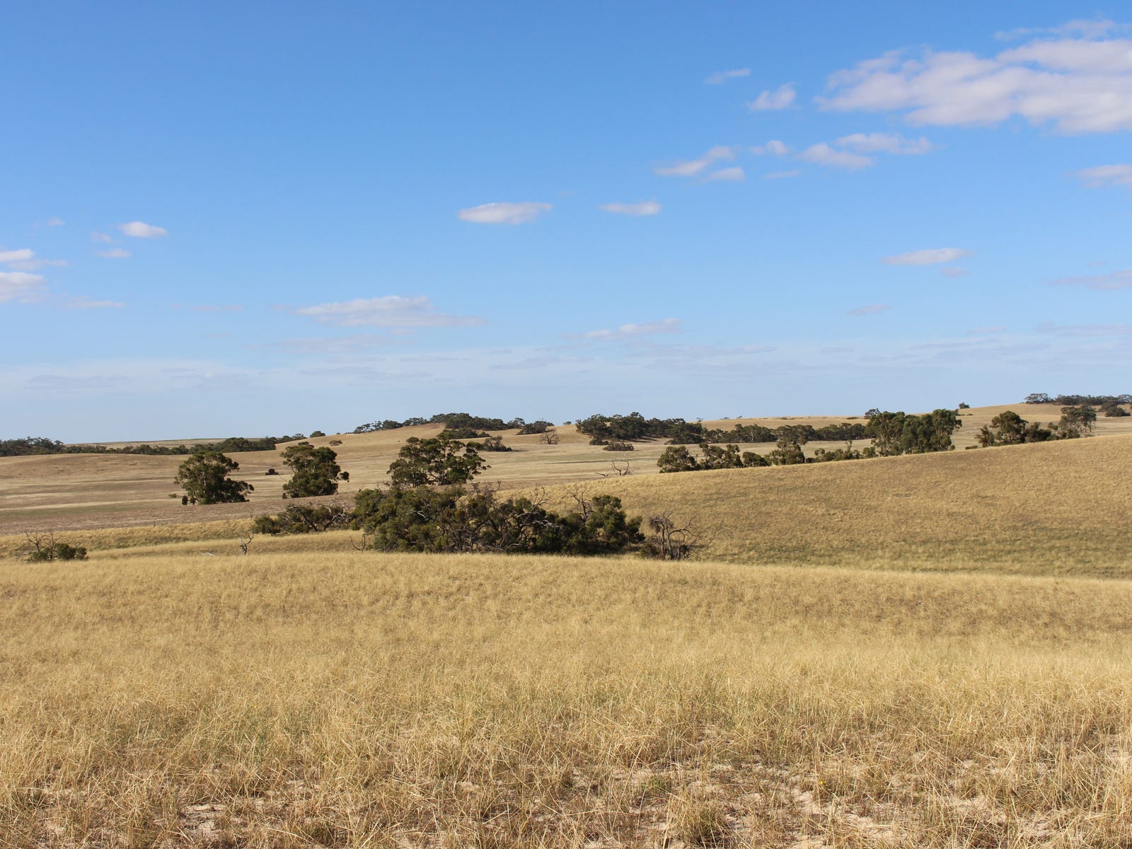Business For Sale: Parrakie, SA 5301