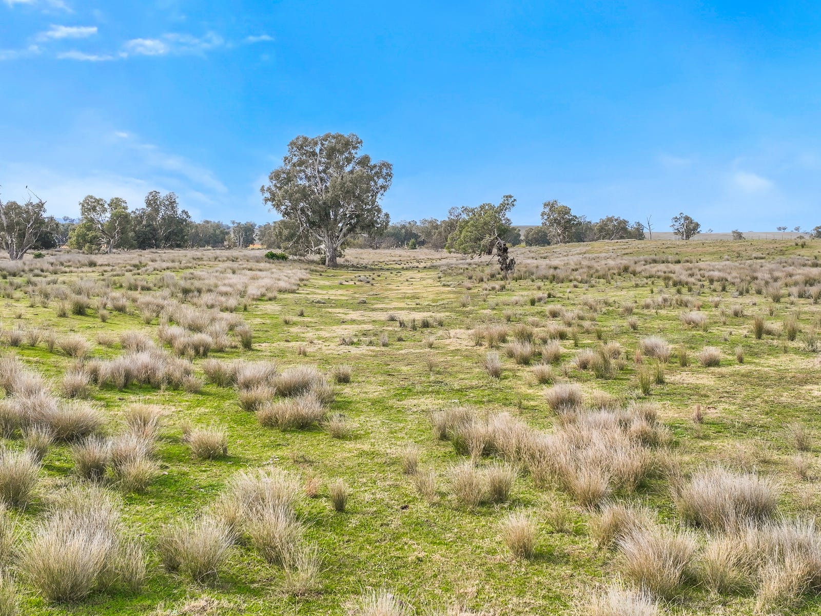 Business For Sale: Tamworth, NSW 2340