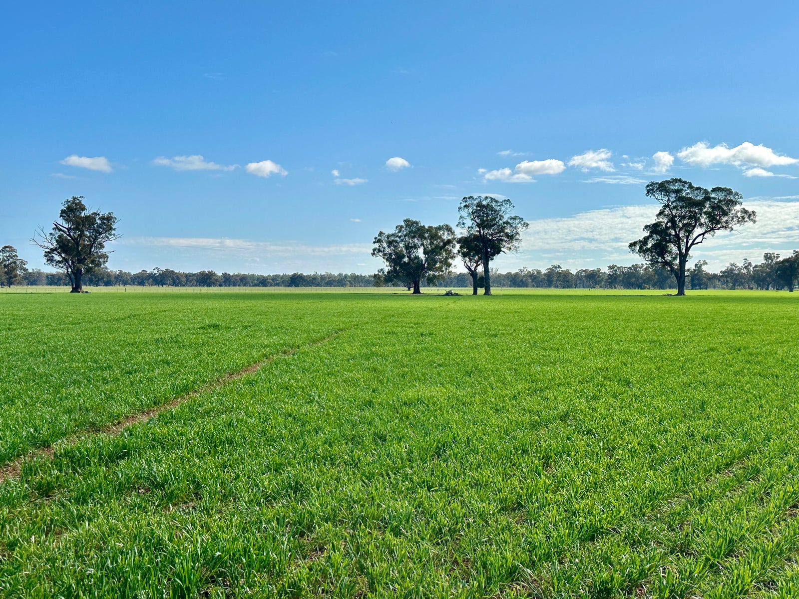 Business For Sale: Wagga Wagga, NSW 2650