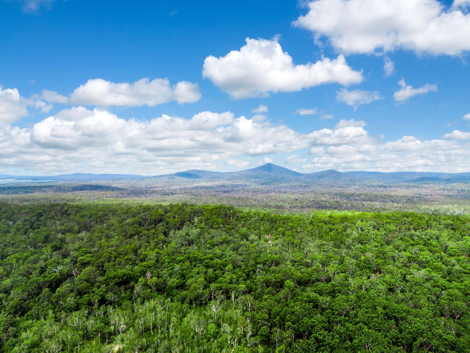 Farms For Sale in Shark Creek, NSW 2463
