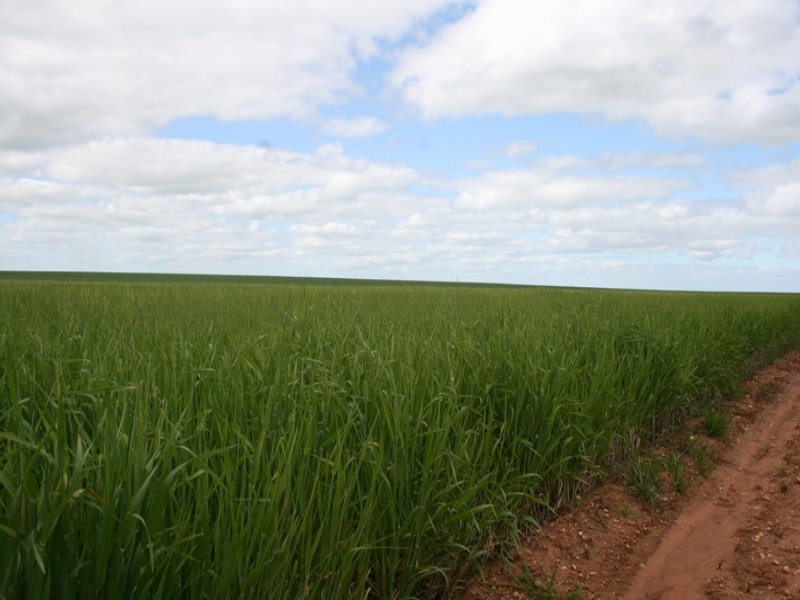 Business For Sale: Agery, SA 5558