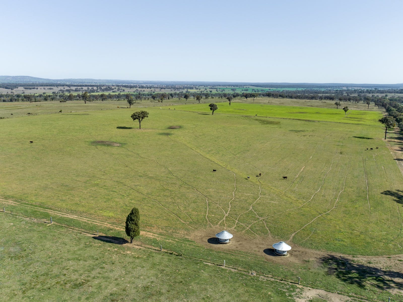 Farms For Sale in Coolah, NSW 2843